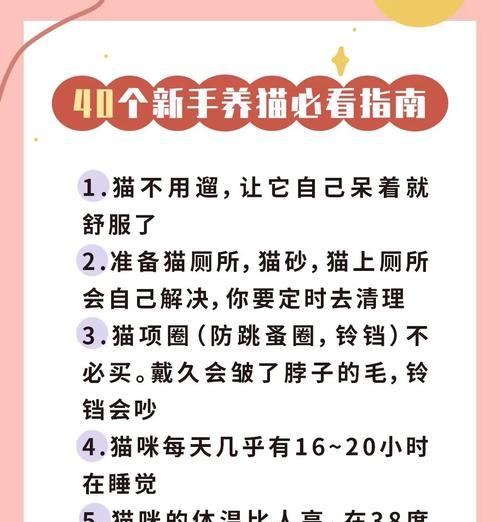 养虎斑猫的注意事项(让你的虎斑猫健康快乐生活的技巧和建议) 养虎斑猫的注意事项(让你的虎斑猫健康快乐生活的技巧和建议)
