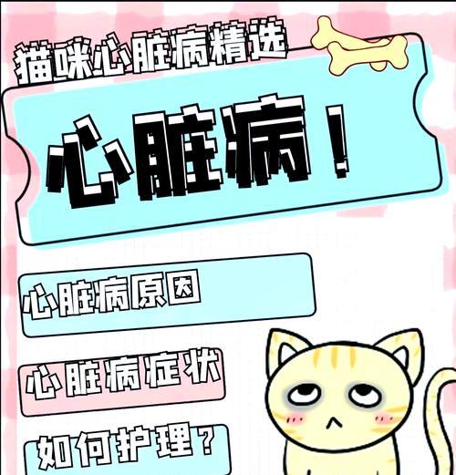 猫咪心脏病的症状与治疗(轻微心脏病如何影响猫咪) 猫咪心脏病的症状与治疗(轻微心脏病如何影响猫咪)