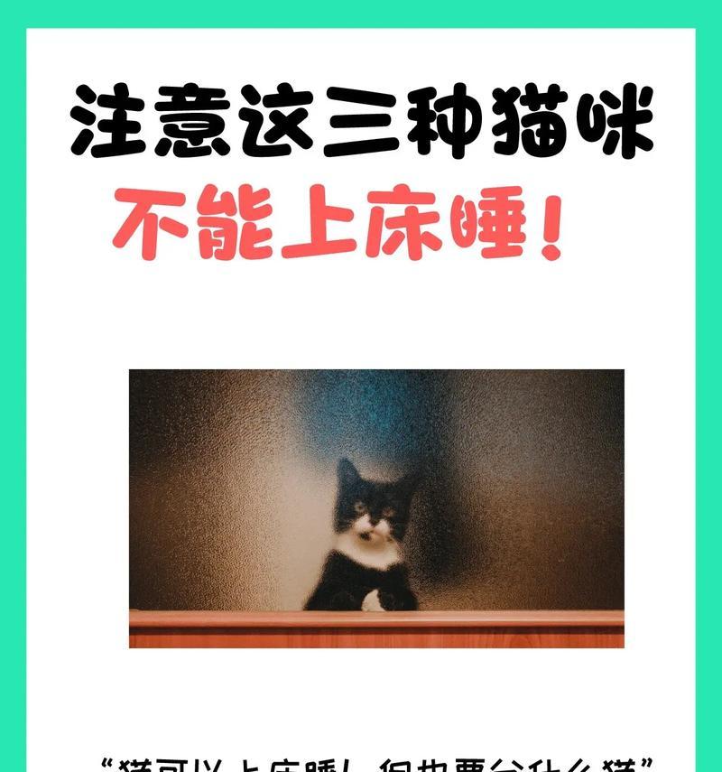 为什么家里的猫不让抱(探究宠物猫不喜欢被抱的原因和解决方法) 为什么家里的猫不让抱(探究宠物猫不喜欢被抱的原因和解决方法)