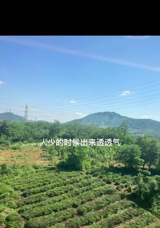 宠物给人类带来的幸福与快乐(宠物陪伴人类成长的故事) 宠物给人类带来的幸福与快乐(宠物陪伴人类成长的故事)