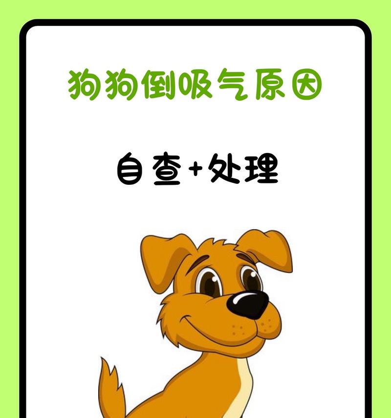 狗狗呼吸时肚子会动吗（探究狗狗呼吸时肚子的变化及其意义）