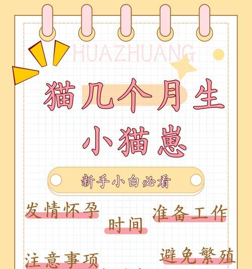 如何准确判断小猫的年龄(从生理特征) 如何准确判断小猫的年龄(从生理特征)