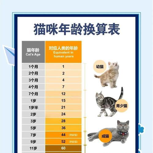 如何准确判断小猫的年龄(从生理特征) 如何准确判断小猫的年龄(从生理特征)