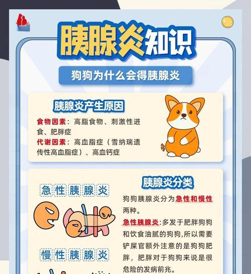 宠物狗拉稀症状及治疗方法详解（8个月大的狗拉稀怎么回事）