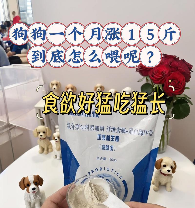 狗狗吃生长素是否会加速生长(探究狗狗吃生长素的真相) 狗狗吃生长素是否会加速生长(探究狗狗吃生长素的真相)