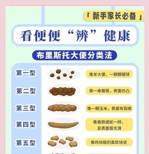 狗狗便便软成型,你需要知道的事情(了解狗狗的便便健康与日常护理) 狗狗便便软成型,你需要知道的事情(了解狗狗的便便健康与日常护理)