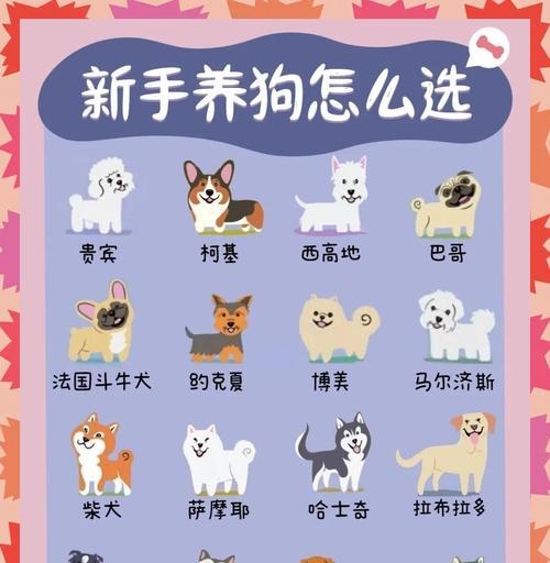 以袖狗的饲养指南(宠物成犬) 以袖狗的饲养指南(宠物成犬)