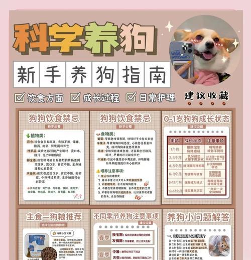 以袖狗的饲养指南(宠物成犬) 以袖狗的饲养指南(宠物成犬)