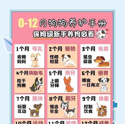 以袖狗的饲养指南(宠物成犬) 以袖狗的饲养指南(宠物成犬)