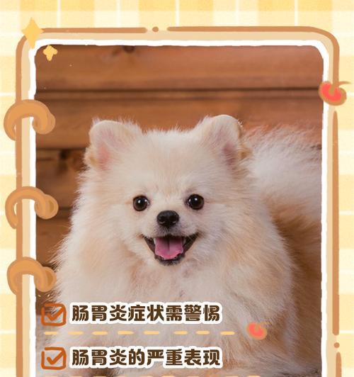 狗狗肠胃炎的预防与治疗(掌握正确喂养方法) 狗狗肠胃炎的预防与治疗(掌握正确喂养方法)