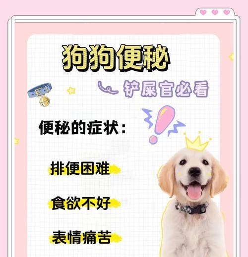 宠物便秘怎么办（以我狗狗拉不出来为例）