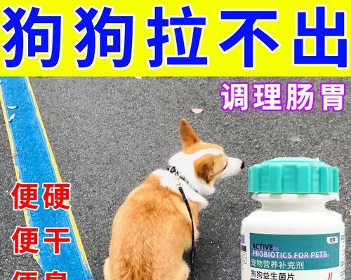 宠物便秘怎么办(以我狗狗拉不出来为例) 宠物便秘怎么办(以我狗狗拉不出来为例)