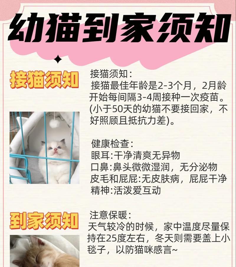 春季猫猫护理全攻略（宠物爱护）