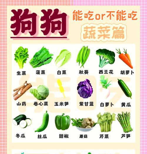 让宠物狗快速增重的最佳方法(吃什么可以让狗狗快速长胖) 让宠物狗快速增重的最佳方法(吃什么可以让狗狗快速长胖)