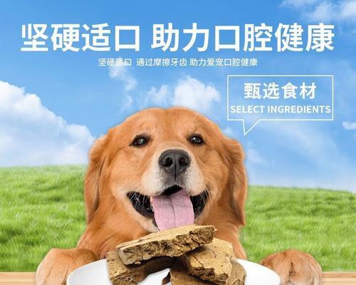 让宠物狗快速增重的最佳方法(吃什么可以让狗狗快速长胖) 让宠物狗快速增重的最佳方法(吃什么可以让狗狗快速长胖)