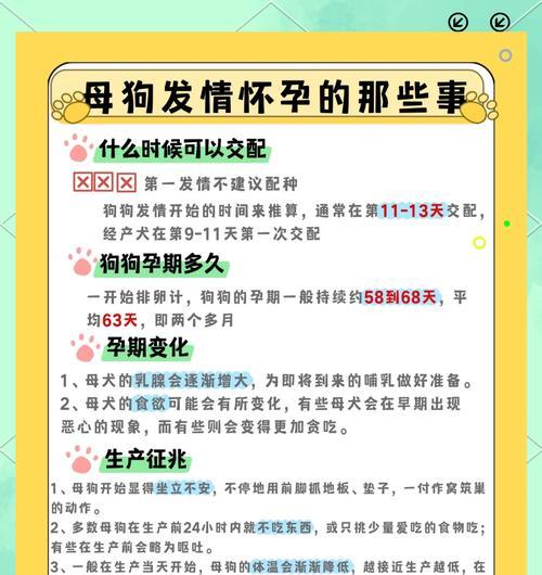 母狗怀孕的危害(以宠物为主) 母狗怀孕的危害(以宠物为主)