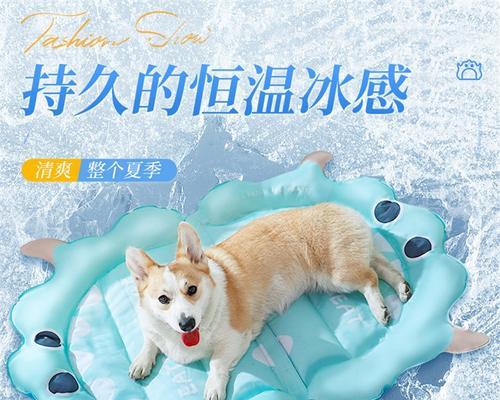 夏天怎么给狗狗降温(为狗狗准备冰块) 夏天怎么给狗狗降温(为狗狗准备冰块)