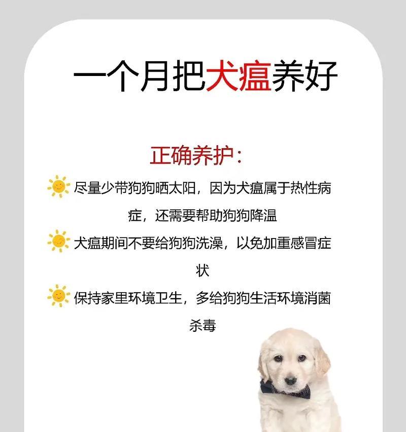 狗瘟真相揭秘（了解狗瘟）