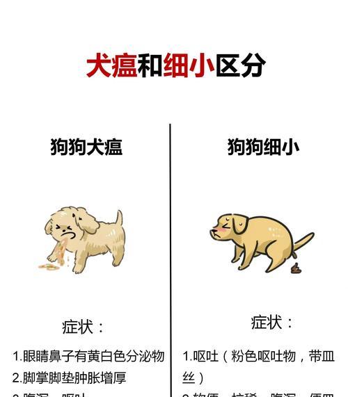 狗狗得细小为什么会臭（探究细小病毒对狗狗气味的影响）