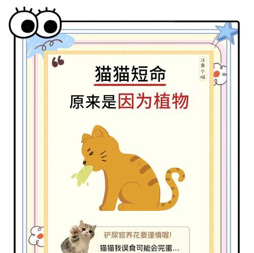 宠物世界中的“猫抓蝴蝶”寓意（探讨猫抓蝴蝶在宠物世界中的深层寓意）
