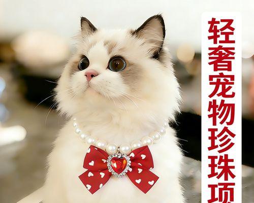宠物世界中的“猫抓蝴蝶”寓意（探讨猫抓蝴蝶在宠物世界中的深层寓意）