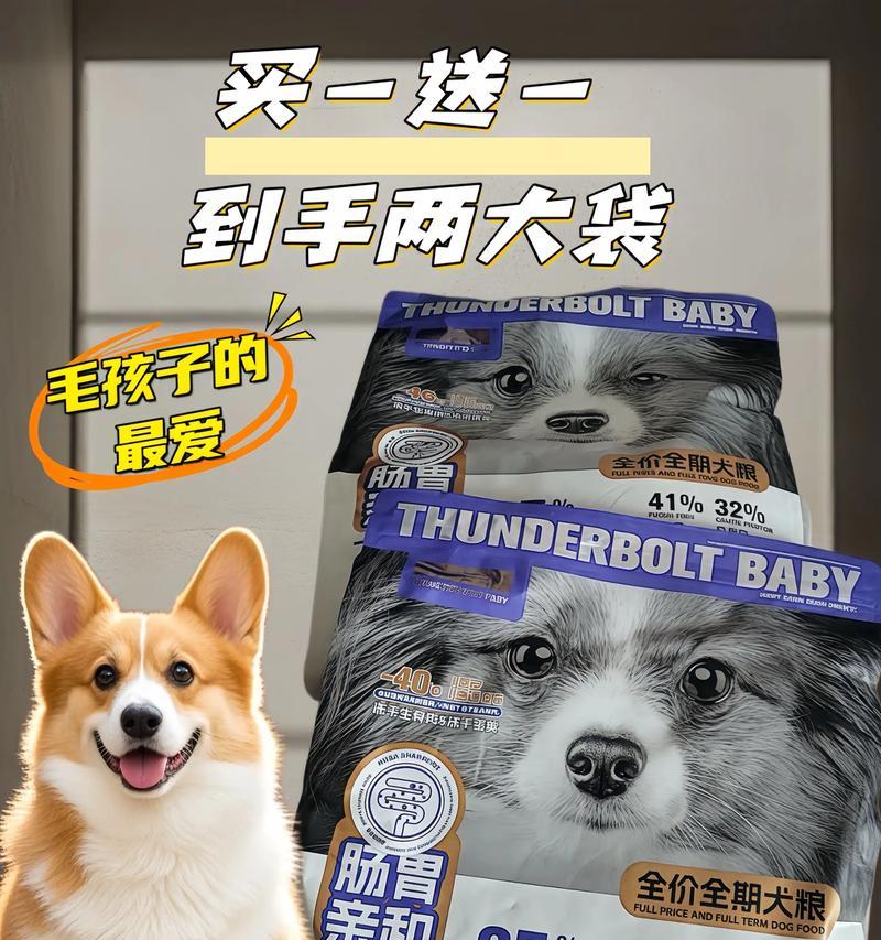 为你的德国牧羊犬选择最合适的狗粮（如何选择适合德国牧羊犬的狗粮）