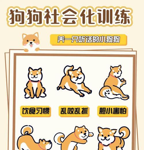 小狗的奇妙生活（探索宠物世界）