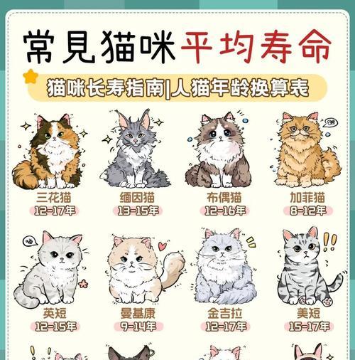 家猫的寿命究竟有多长（探寻家猫寿命的神秘之谜）