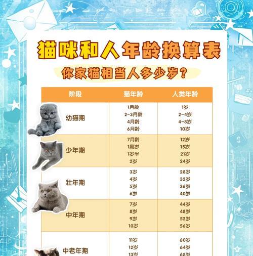 家猫的寿命究竟有多长（探寻家猫寿命的神秘之谜）