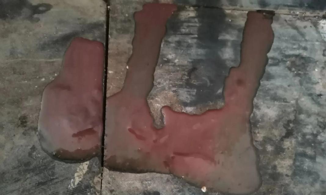 当你的狗狗拉血带泡沫时该如何应对（狗狗健康的警报）