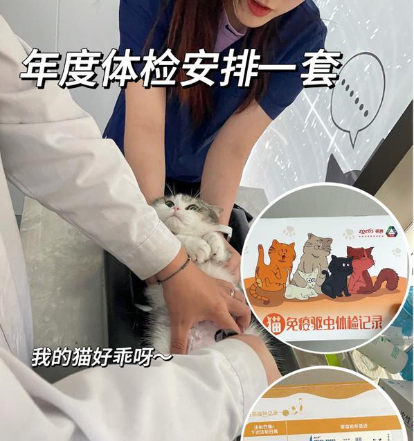 猫咪疫苗的重要性（宠物保健必备）
