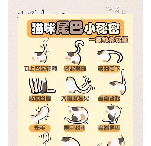 猫尾巴的长度有何含义(探寻猫咪身体语言之谜) 猫尾巴的长度有何含义(探寻猫咪身体语言之谜)