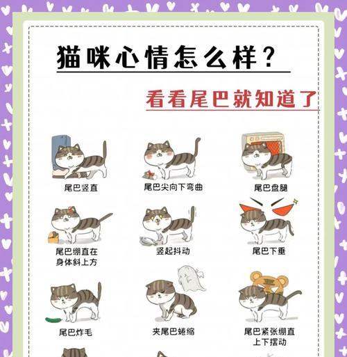 猫尾巴的长度有何含义(探寻猫咪身体语言之谜) 猫尾巴的长度有何含义(探寻猫咪身体语言之谜)