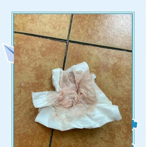 猫咪子宫蓄脓异味原因及治疗方法(揭秘猫咪子宫蓄脓的成因和如何帮助猫咪解决) 猫咪子宫蓄脓异味原因及治疗方法(揭秘猫咪子宫蓄脓的成因和如何帮助猫咪解决)