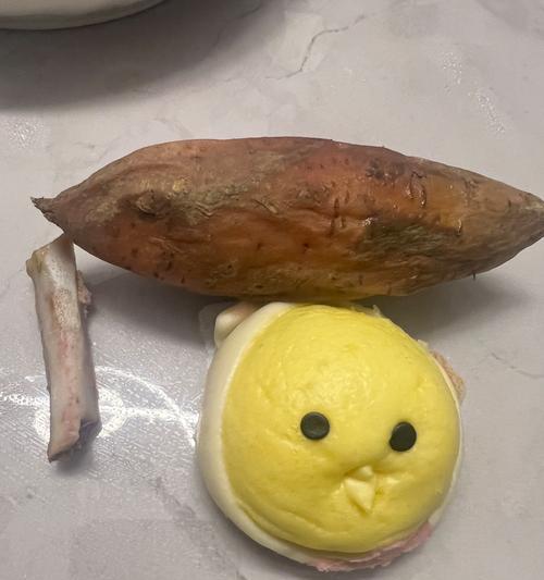 宠物狗的饮食搭配之馒头泡菜汤（宠物狗如何吃得健康美味）
