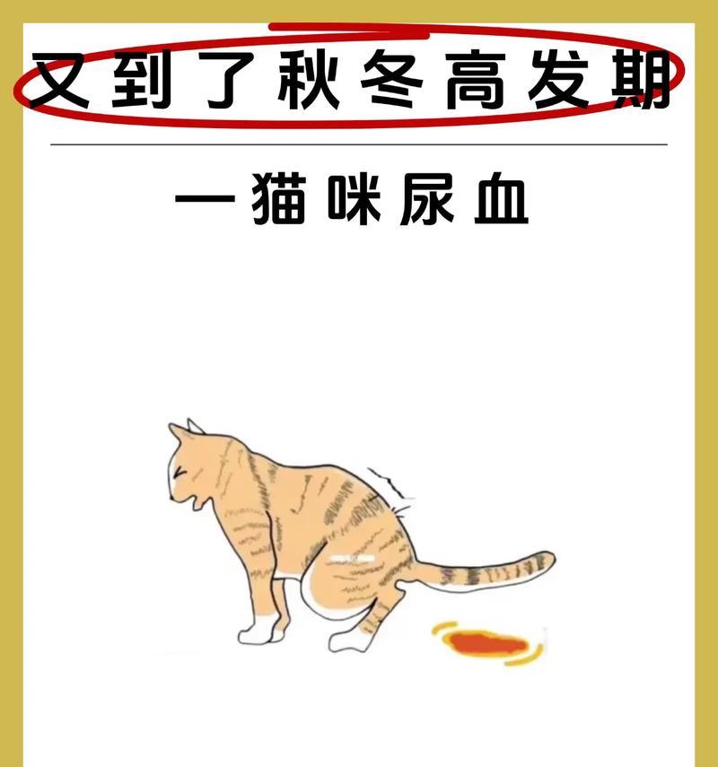 以爱心宠物，细心呵护小生命，（以爱心宠物）