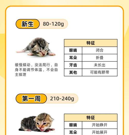 小猫养成指南——合适的养猫时间(从宠物选择到生长发育) 小猫养成指南——合适的养猫时间(从宠物选择到生长发育)