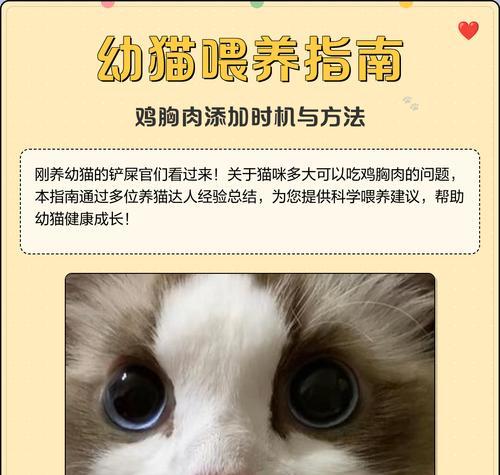 小猫养成指南——合适的养猫时间(从宠物选择到生长发育) 小猫养成指南——合适的养猫时间(从宠物选择到生长发育)