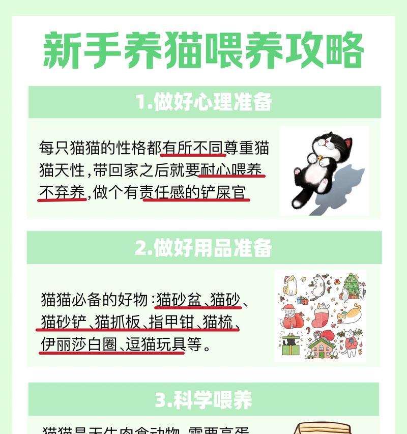 小猫养成指南——合适的养猫时间(从宠物选择到生长发育) 小猫养成指南——合适的养猫时间(从宠物选择到生长发育)