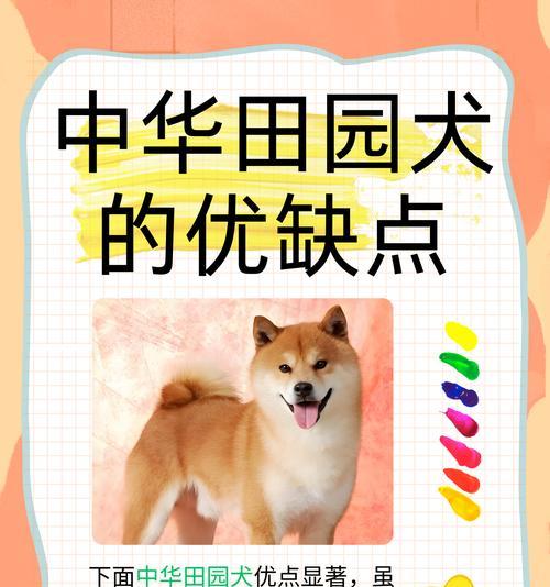秋田犬（了解秋田犬的性格和特点）
