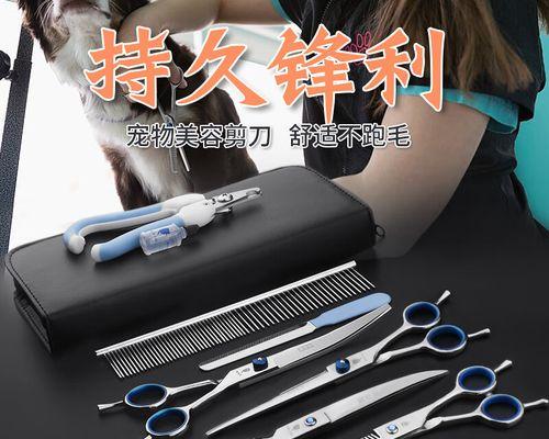 如何正确剪泰迪犬黑色指甲(掌握技巧让宠物更健康) 如何正确剪泰迪犬黑色指甲(掌握技巧让宠物更健康)