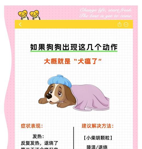 宠物小狗犬瘟哀嚎，保护我们的爱宠不再受伤（探讨小狗犬瘟的成因及预防）
