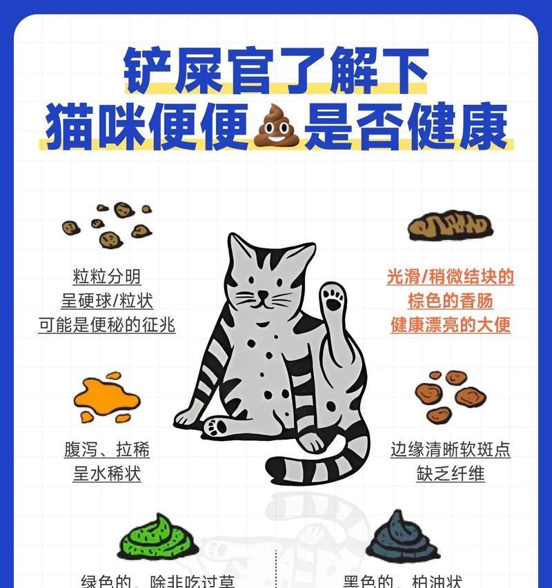 猫咪便便颜色指南(了解宠物健康的关键——猫咪排便颜色) 猫咪便便颜色指南(了解宠物健康的关键——猫咪排便颜色)