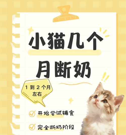 小猫可以喂牛奶吗（什么奶粉适合小猫？如何正确喂养小猫？为你详细解答）