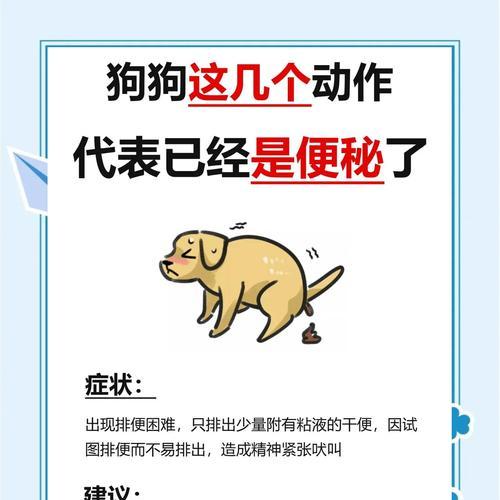 泰迪狗抽了,怎么办(探讨泰迪狗发生抽搐的原因) 泰迪狗抽了,怎么办(探讨泰迪狗发生抽搐的原因)