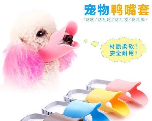 金毛犬失控乱咬，如何应对（宠物训练）