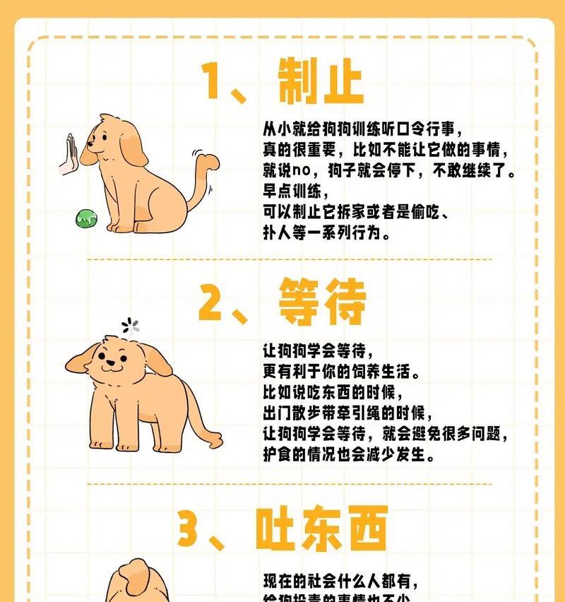教你的狗狗如何认家(让你的宠物与你的家更亲密) 教你的狗狗如何认家(让你的宠物与你的家更亲密)