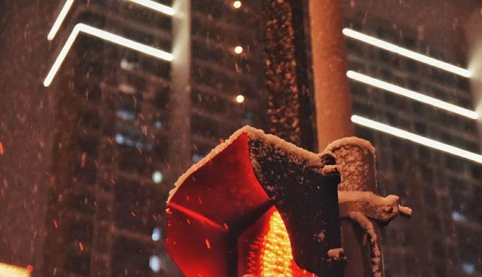 探究可不可以带宠物去吃雪的趣事(一起探索宠物的雪上之旅) 探究可不可以带宠物去吃雪的趣事(一起探索宠物的雪上之旅)