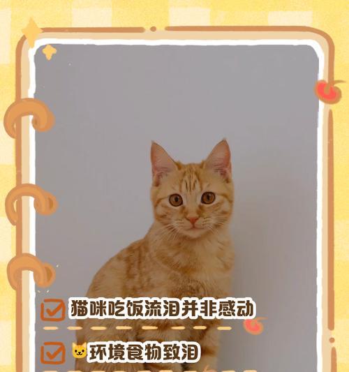 小猫的饮食习惯（探究小猫吃食的过程与技巧）