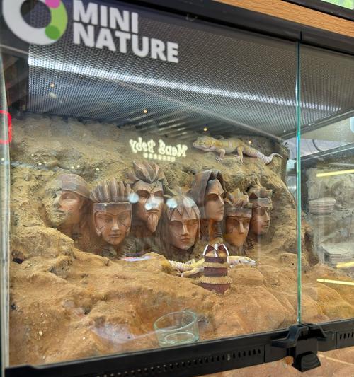 萌宠水族迷你缸创造生活情趣（以亮点水族迷你缸为载体）